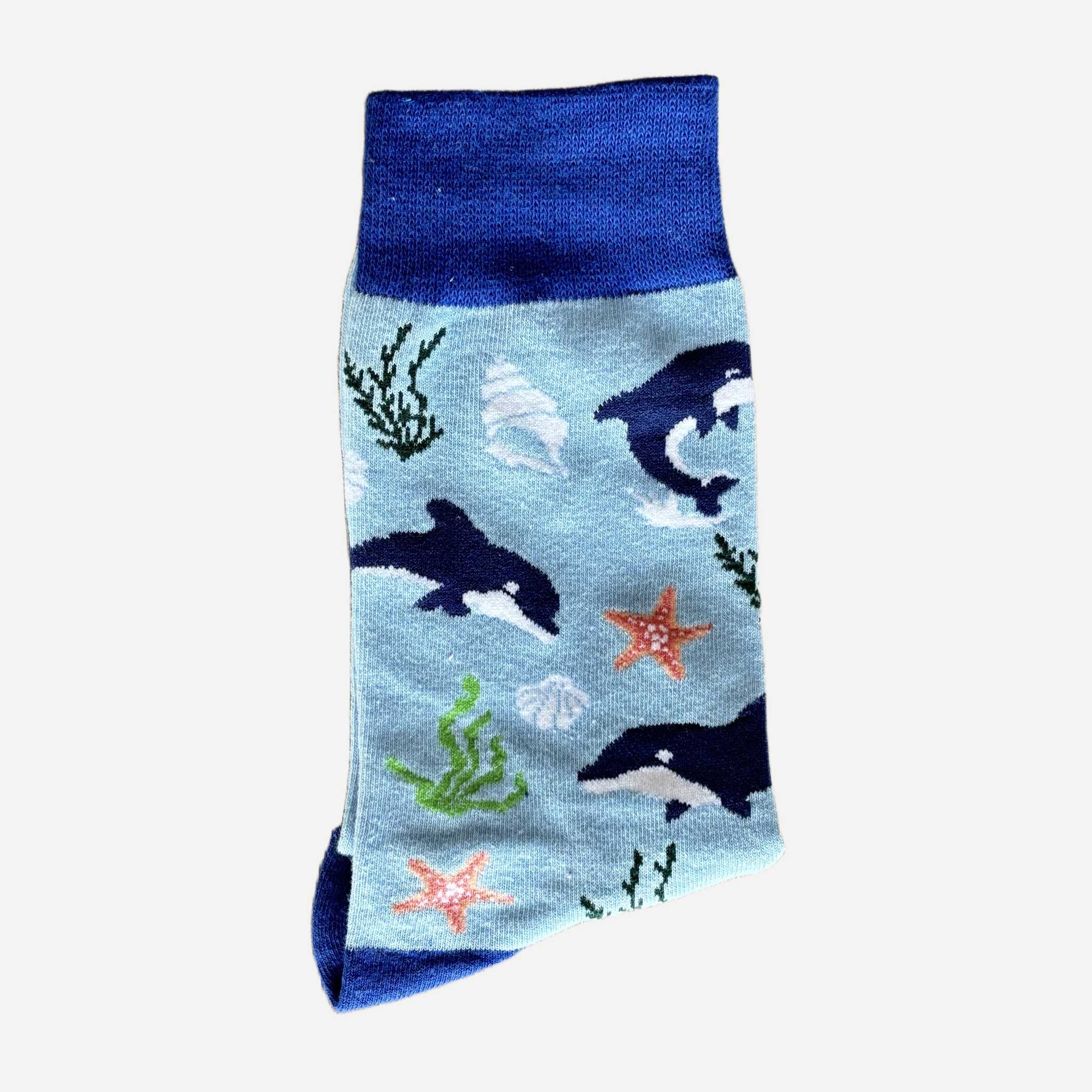 chaussettes-hola-olivia-dauphin-bleu-2 Chaussettes Hola Olivia Dauphin Couleur Bleu Ciel 2